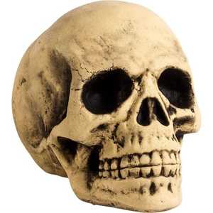 Customized Handcrafted Eco Friendly Resin Human Head <strong>Skull</strong> Sculpture Model for Home Decor From India . - Product Image 1
