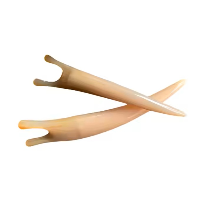 ธรรมชาติ