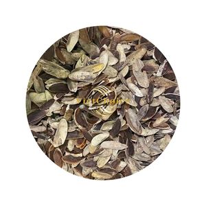Murex โอเปอคูลัมหัตถกรรมเปลือกหอยธรรมชาติคุณภาพสูงผลิตในเวียดนาม - Product Image 3