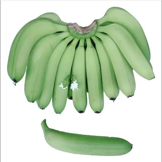 最高品質のバナナ販売者/輸出業者/製造業者