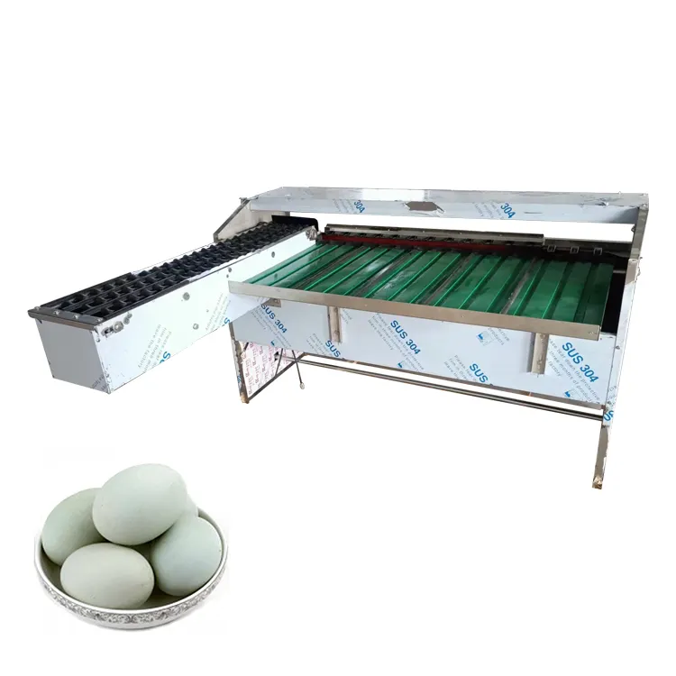 Egg Grading And Packing Machine egg sorting machine Egg Scale Grader