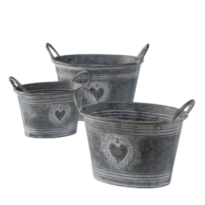 ตามที่แสดง