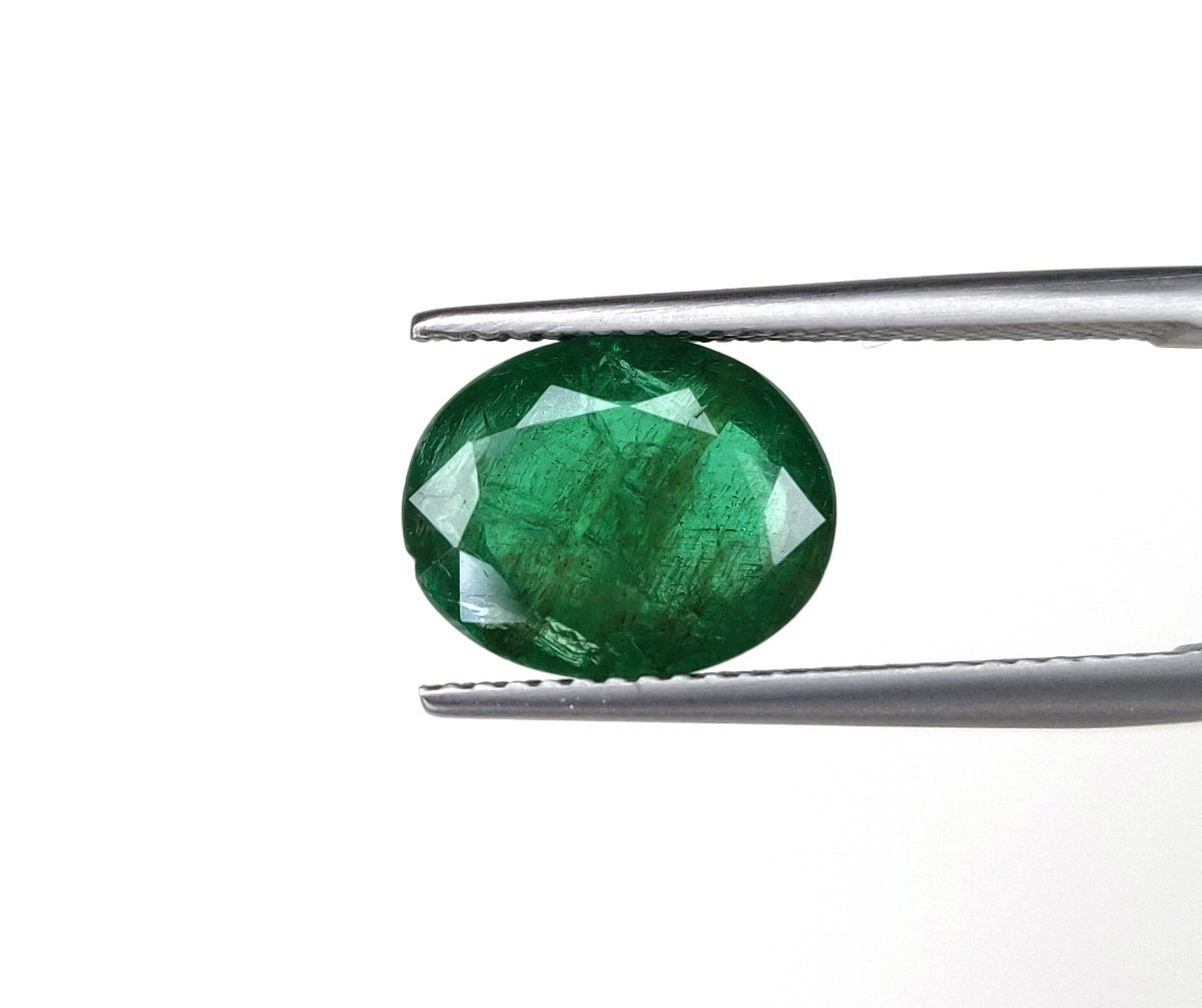 สีเขียวป่า