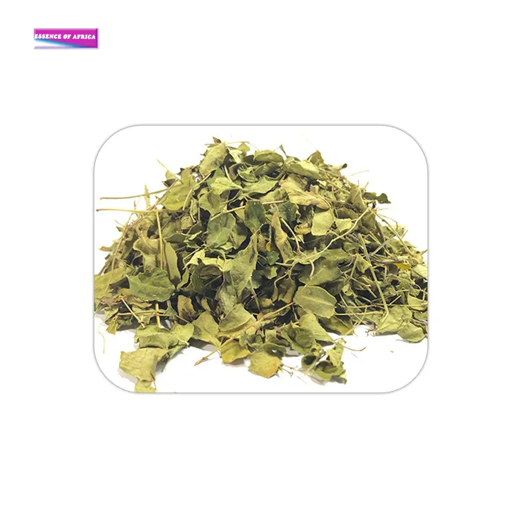 Top 급 초본 추출물 식품 급 100% 유기 Moringa 잎 from 평판 딜러 | Available in Bulk 양