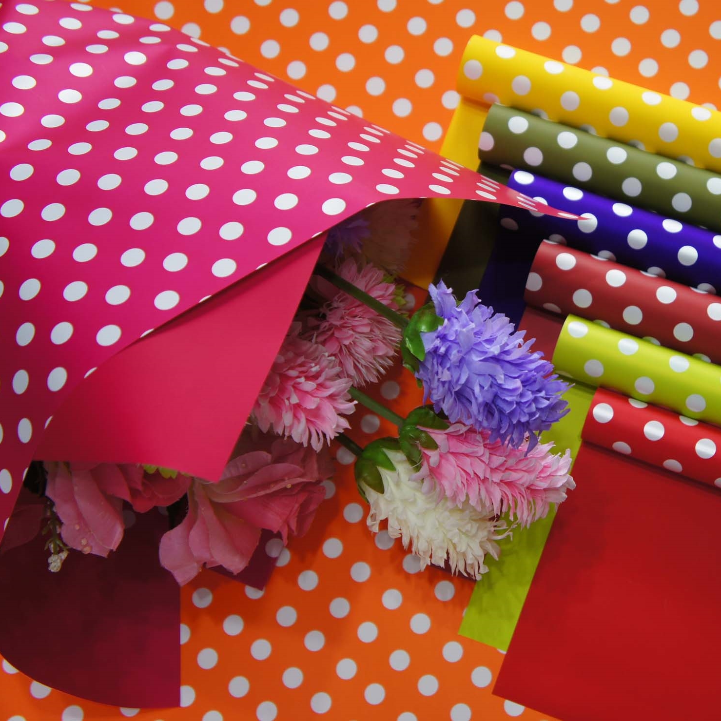 couleur et imprimé