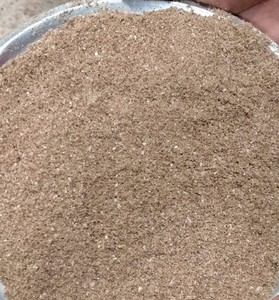 有机肉类和骨粉用于肥料，植物肥力，无混合物，天然肥料用于植物，农场，农业