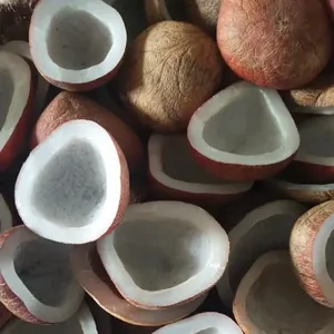 En kaliteli hindistan cevizi Copra/kurutulmuş hindistan cevizi - Product Image 4