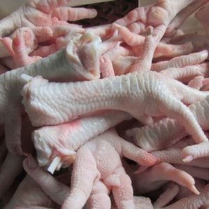 新しい到着プレミアムハラール冷凍全鶏鶏足無脂肪BQF加工鶏ウイング