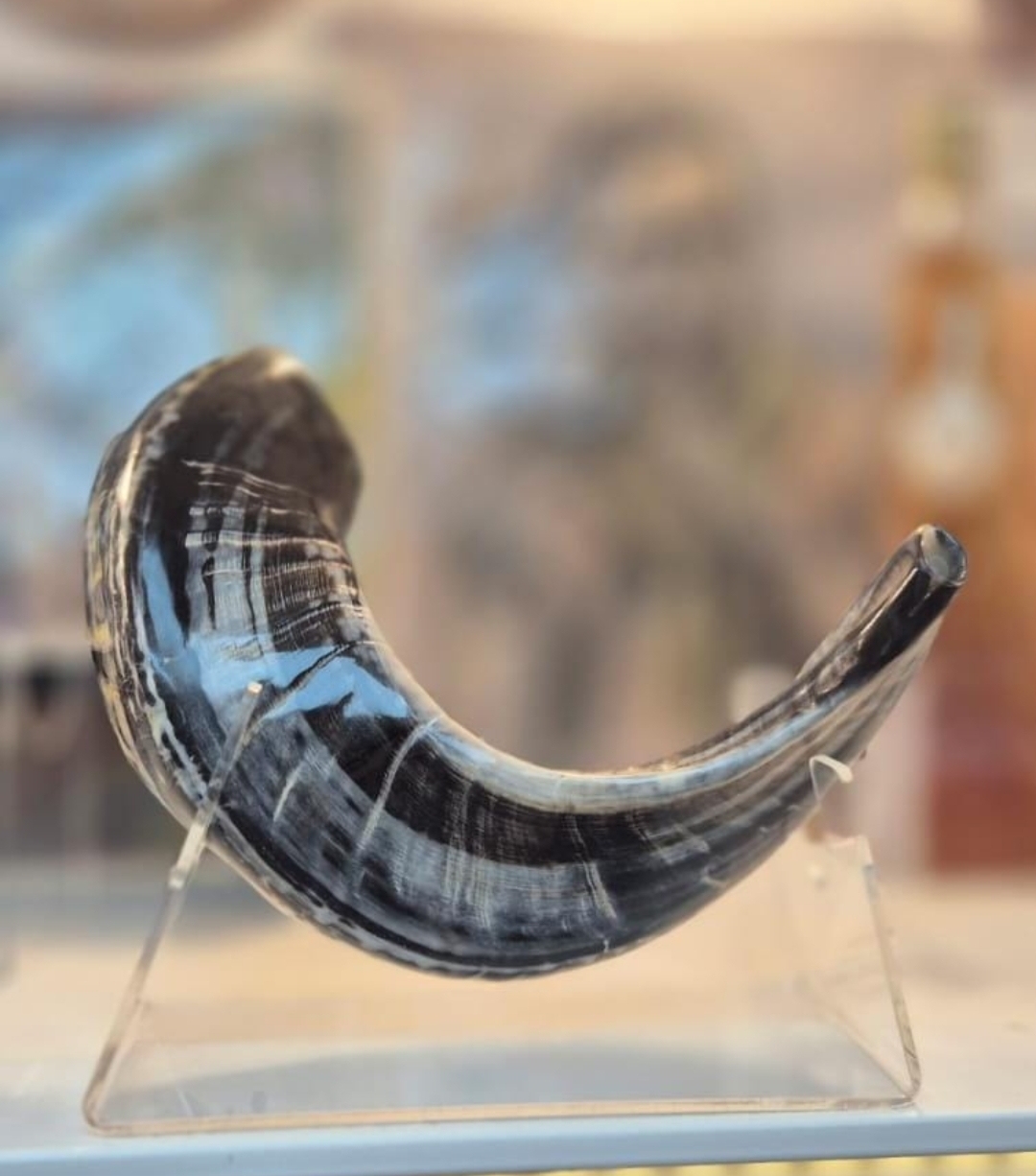 Natural Horn Color