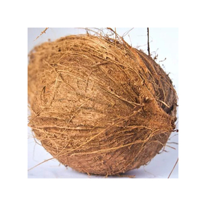 Noci di cocco fresche di grado esportato raccolte al massimo della maturazione per un gusto ottimale - Product Image 3