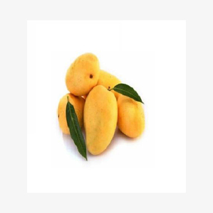 新到货美味新鲜天然芒果印度级纯黄芒果果品批量供应 - Product Image 4