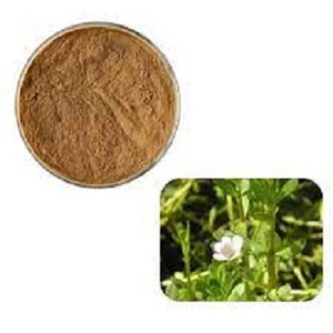 สารสกัดจากธรรมชาติ Bacopa monniera 20% สำหรับอาหารเสริม