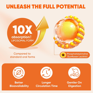 Hot Sale Curcumin Organic Beet Root 500mg 1000mg Best 95% Ginger C3 Complex Turmeric <strong>Extract</strong> Curcumin Softgels For Joint Support - Product Image 3