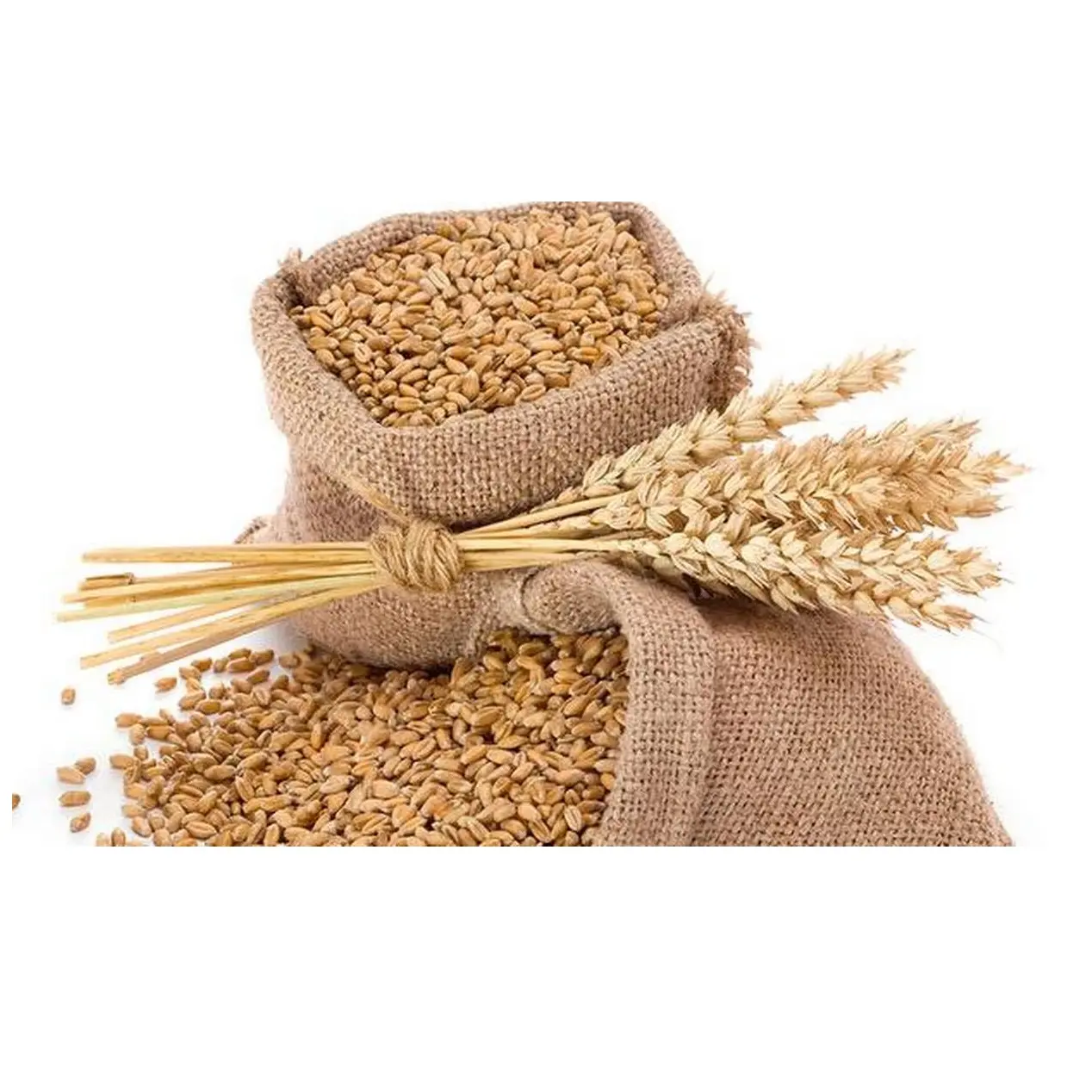 Grão de trigo, grão orgânico natural de primeiro grau alimentação animal trigo 50 kg saco de embalagem sementes cereal grão alemanha