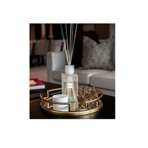 新款定制透明亚克力回收食品上菜托盘长方形<span class=keywords><strong>lucite</strong></span> macaroon展示托盘豪华不锈钢托盘