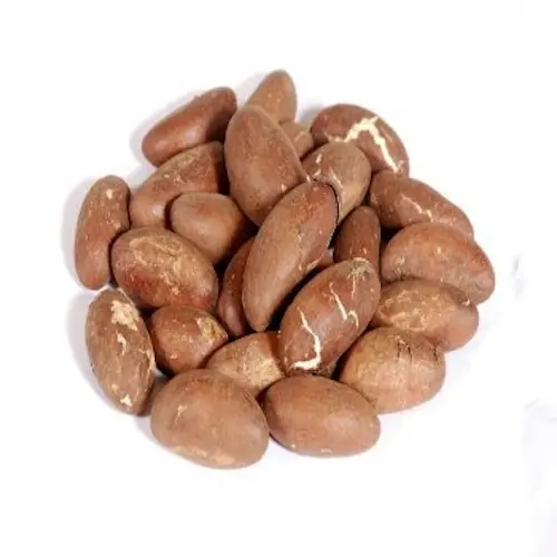 La mejor calidad Garcinia Bitter Kola Nuts Cultivo común