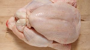 High Quality Halal Frozen Whole <strong>Chicken</strong> Italy - Product Image 3