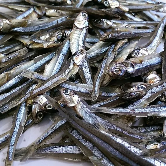 Pesce di acciughe senza testa essiccato in fabbrica all'ingrosso-alta qualità dal Vietnam