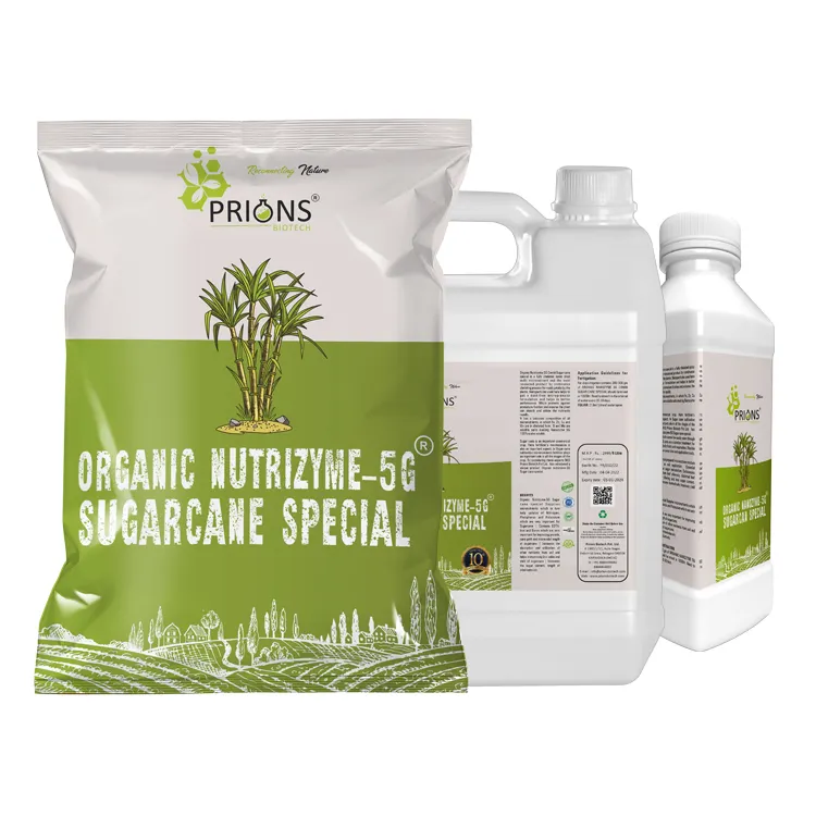 Spray totalmente chelutriente seco, de alta qualidade, Nutrizyme-5G combi, canoa, fertilizante orgânico especial