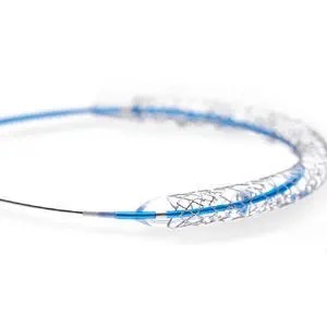 เครื่องตรวจหลอดเลือดแดงในปอดหลอดเลือดแดงแบบแกนซ์แบบใช้แล้วทิ้งอุปกรณ์ที่ผ่านการฆ่าเชื้อสำหรับการประเมินการเต้นของหัวใจในหลอดเลือด - Product Image 2