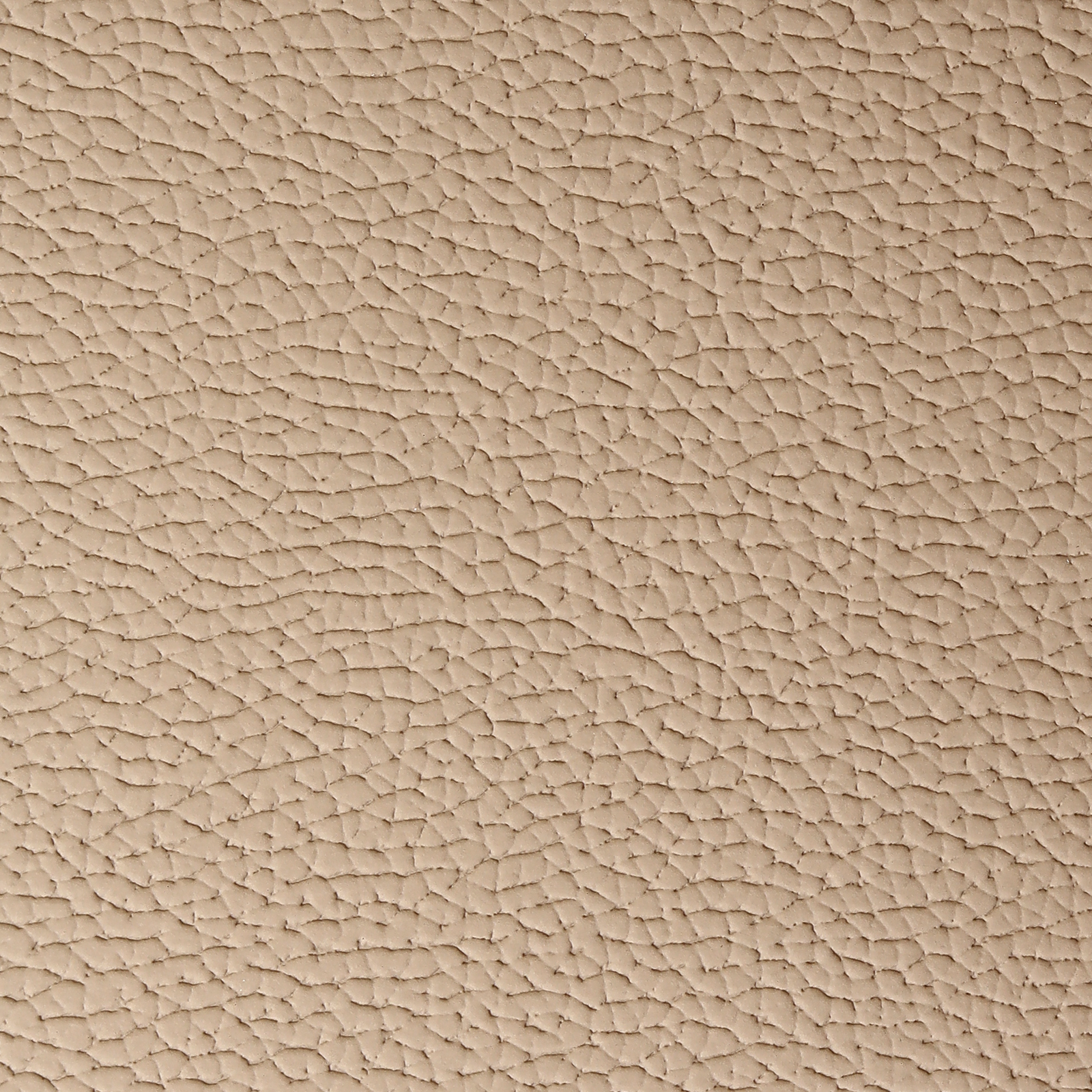 Aster (E -489 1005 nuez