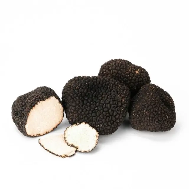 100% naturel frais truffe noire crochets champignons truffe noire prix de vente