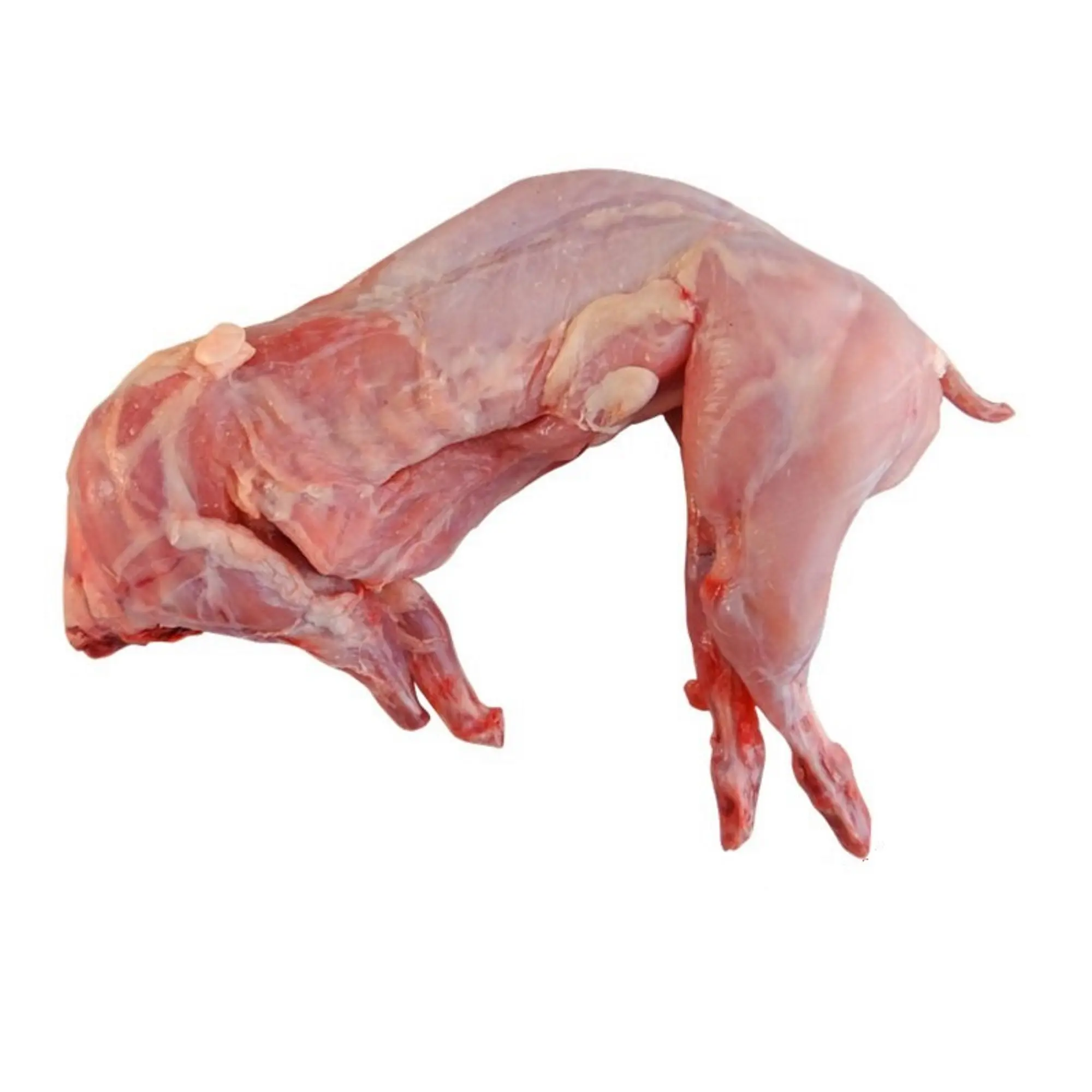 Carne de conejo congelada fresca Carne de conejo de grado Halal a precio barato