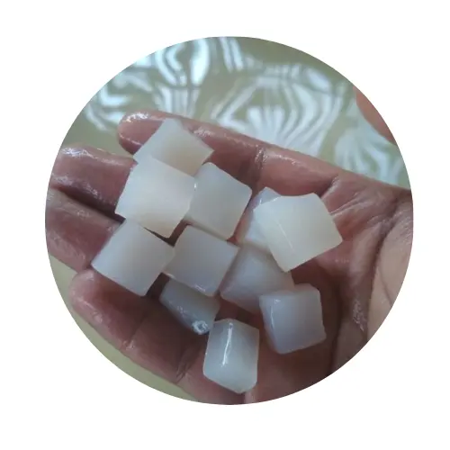 NATA DE COCO/ COCONUT JELLY WITH BEST PRICE FROM VIETNAM/MS.THI NGUYEN +84 988 872 713