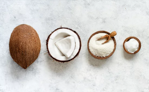 Essicatted Coconut for Agriculture Getrocknetes Kokosnuss produkt in Premium qualität