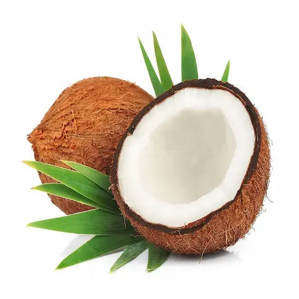 Coco semicurado de primera mano con cáscara disponible