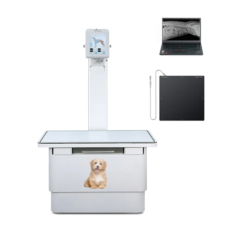Ysenmed-Máquina DE RAYOS X digital veterinaria, unidad de rayos X con pantalla táctil, para veterinario, para uso veterinario