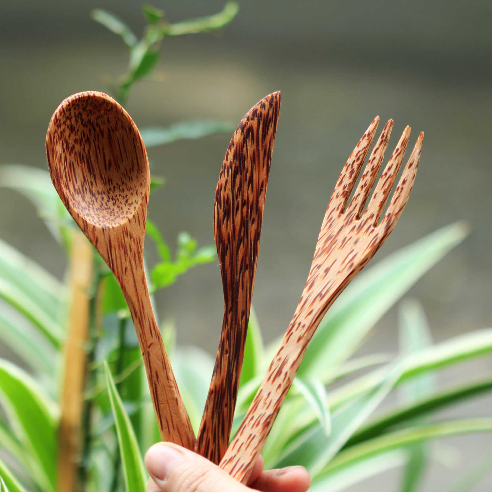 Natural coconut color