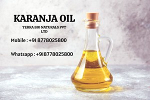 Sıcak ve soğuk preslenmiş Karanja yağı cilt ve saç bakımı için Pungai yağı ihracat dünya çapında hindistan en iyi tedarikçi uygun fiyata - Product Image 4