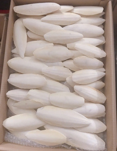 Terbaik penjualan cumi-cumi tulang kalsium alami sumber untuk burung peliharaan kura-kura kelinci paruh perawatan Shell mendukung kerajinan 2025 - Product Image 6