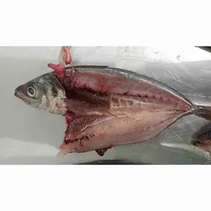 High Quality IQF Fresh Seafood Scomber Japonicus Frozen Pacific Mackerel Sea Frozen Pacific Mackerel Fish