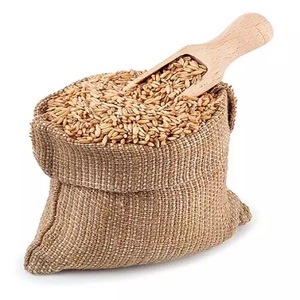 Yüksek kaliteli buğday/buğday tahıl/ukrayna yumuşak ve sert olmayan gdo buğday tahıl tohumları 50kgs/arpa - Product Image 4