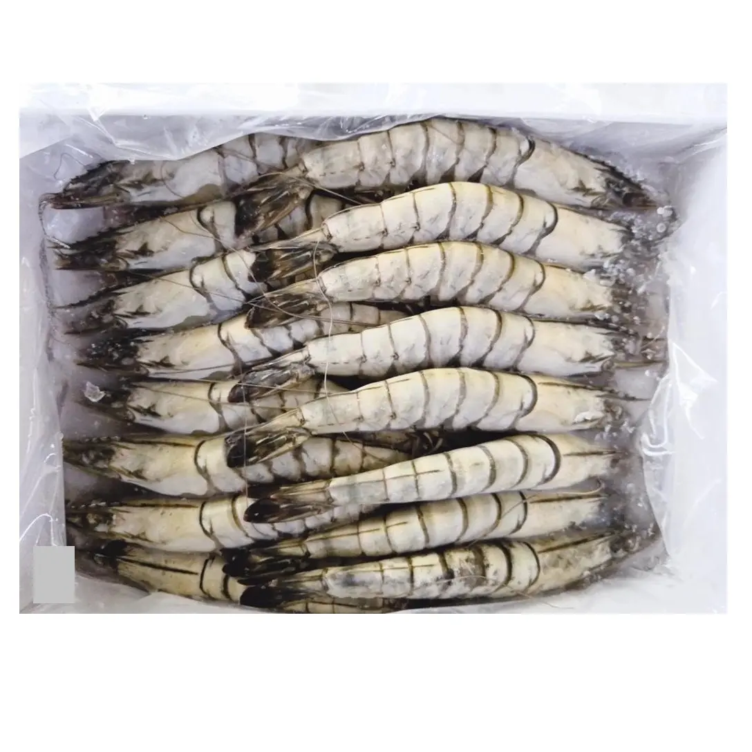 Factory Export High Quality Freeze Dried Brine Shrimp Raw Frozen Shrimp Vannamei Shrimp