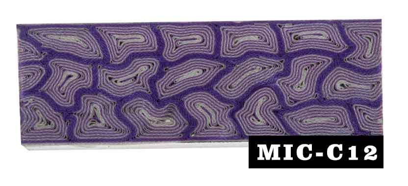 MIC-C12