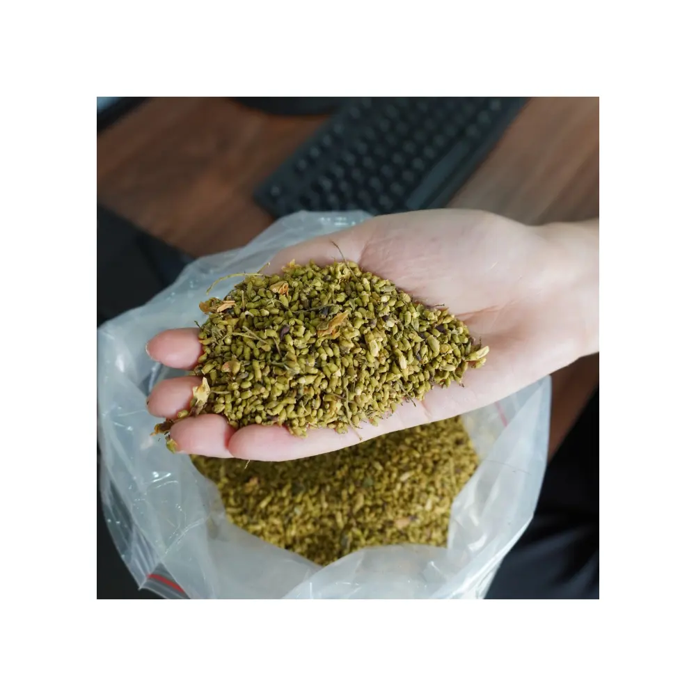 Chiết xuất Sophora Japonica chiết xuất quercetin 95% các loại thảo mộc cho y học chất lượng cao thực vật 100% tự nhiên