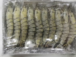 ขายกุ้งกุลาดำแบบสดแช่แข็ง - Product Image 5