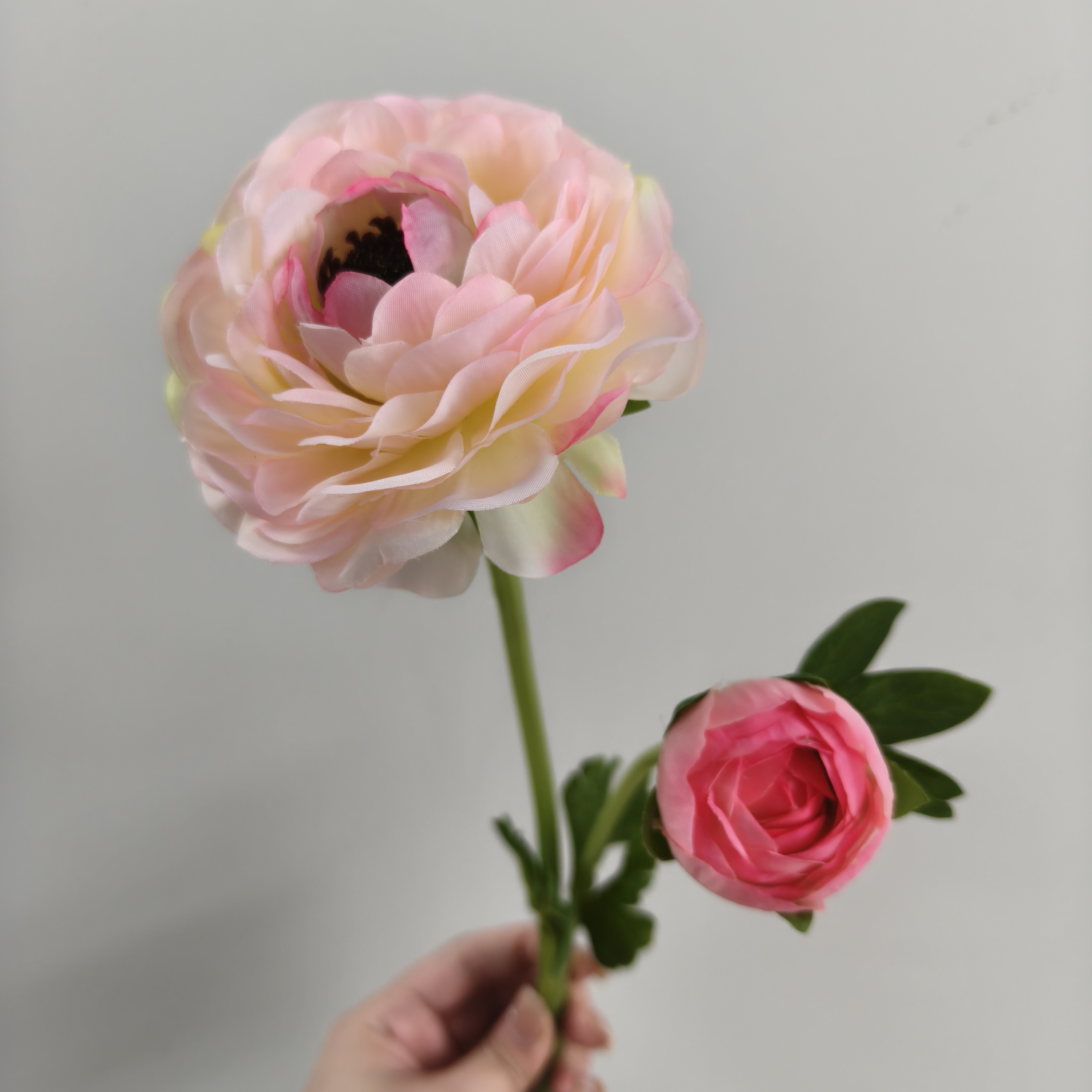 Pink 2 head dew lotus single branch