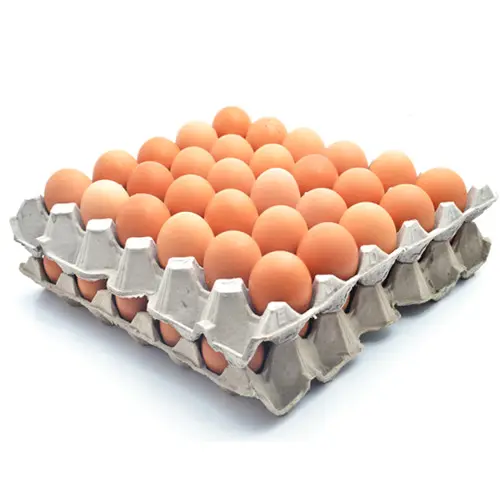 Huevos de mesa marrones frescos listos para la granja/Huevos de pollo marrones frescos Compre huevos de pollo marrones frescos al mejor precio