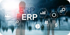 תוכנת ERP פיתוח חברת הודו