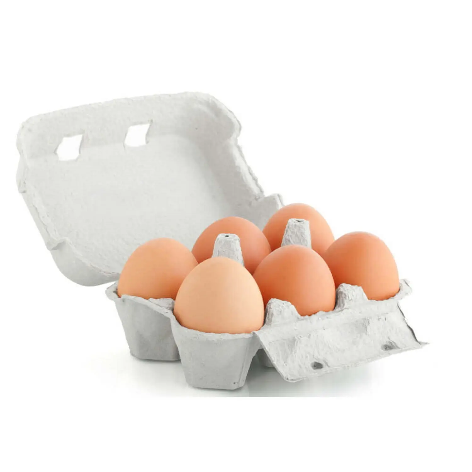 सर्वश्रेष्ठ ताजा ब्राउन टेबल चिकन अंडे सस्ते ताजा चिकन टेबल अंडे थोक भूरे रंग के अंडे में ताजा चिकन टेबल अंडे ताजा चिकन