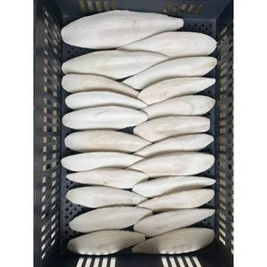 กระดูกปลาหมึกอบแห้งออร์แกนิกพร้อมส่งออกจำนวนมาก - Product Image 2