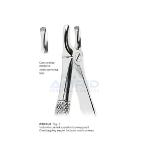 Lower <strong>Molars</strong> Extracting Forceps Lower <strong>Molars</strong> Extracting Forceps Quantity CE DENTAL EQUIPMENTS - Product Image 4