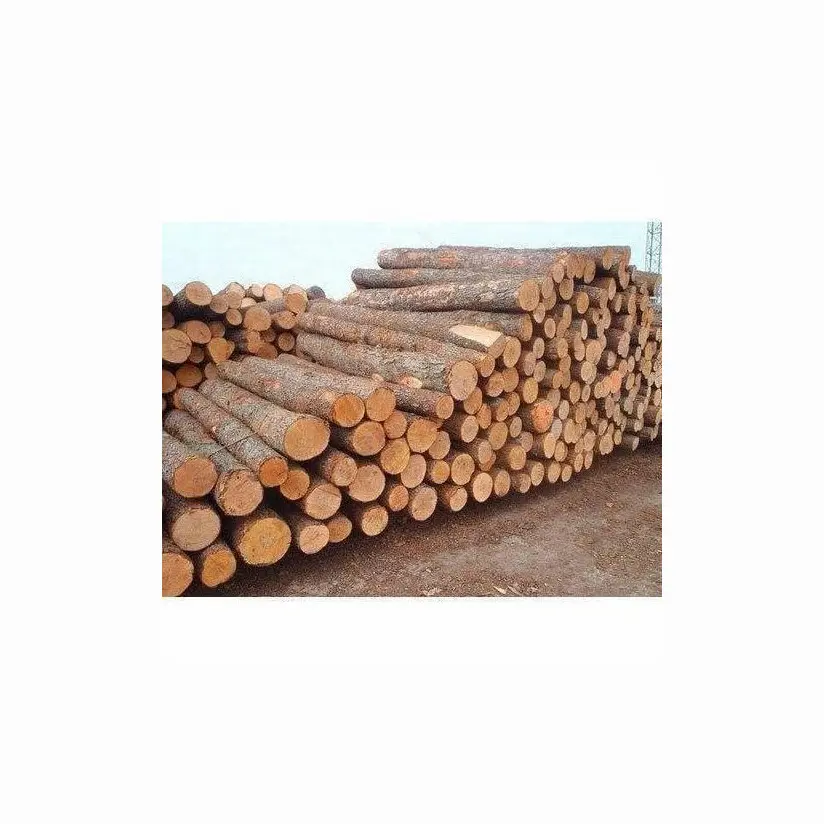 Kualitas kayu kayu kayu jati kayu balok dll/kayu Oak/log kayu jati-balok bulat, kayu pion kayu