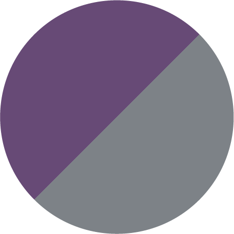 Violet et gris