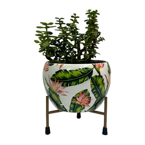 Minimalist Iron <strong>Planters</strong> Outdoor Flower <strong>Planter</strong> With Meena Style for Modern Gardens for Worldwide Export by Regal Metal World - Product Image 1