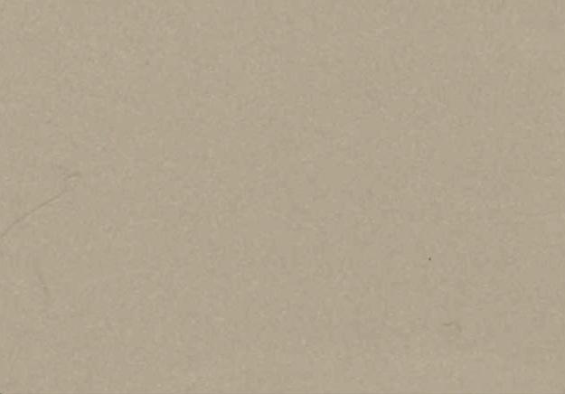 สีเงินแชมเปญ